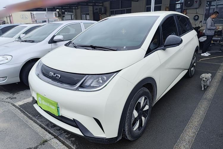 Used BYD Dolphin 2025 420km Free Edition