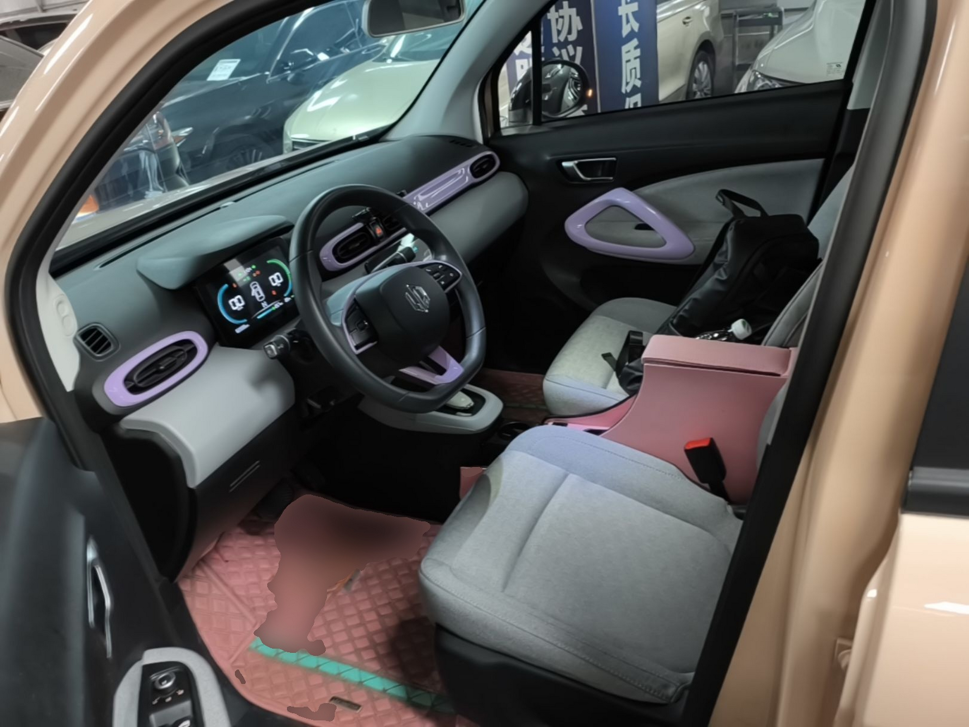 Interior delantero