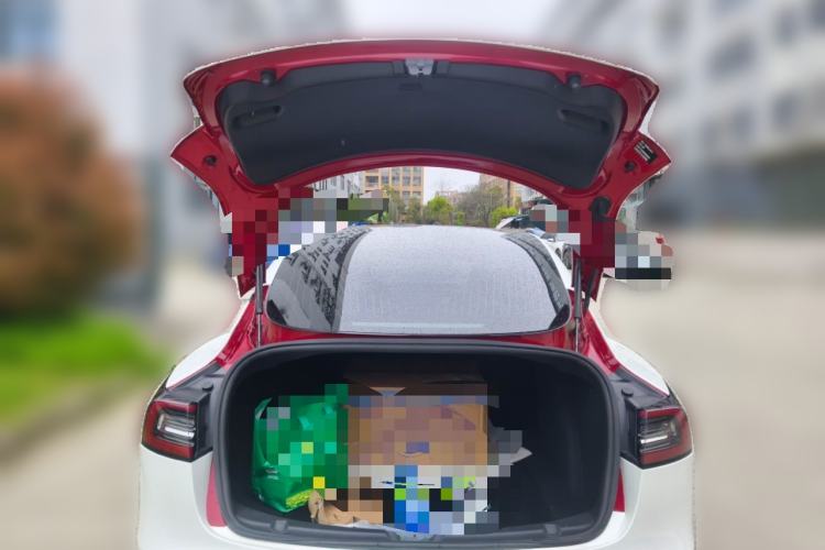 Used Tesla Model 3 2019 Standard Range Rear-Drive Upgraded Version
