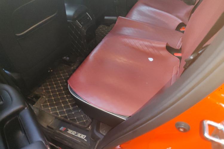 Used Tank 300 2021 Off-Road Edition 2.0T Conqueror Left Rear Seat