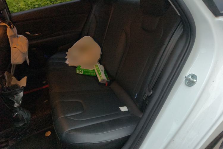 Used Hyundai Elantra 2022 1.5L CVT LUX Prestige Edition Left Rear Seat