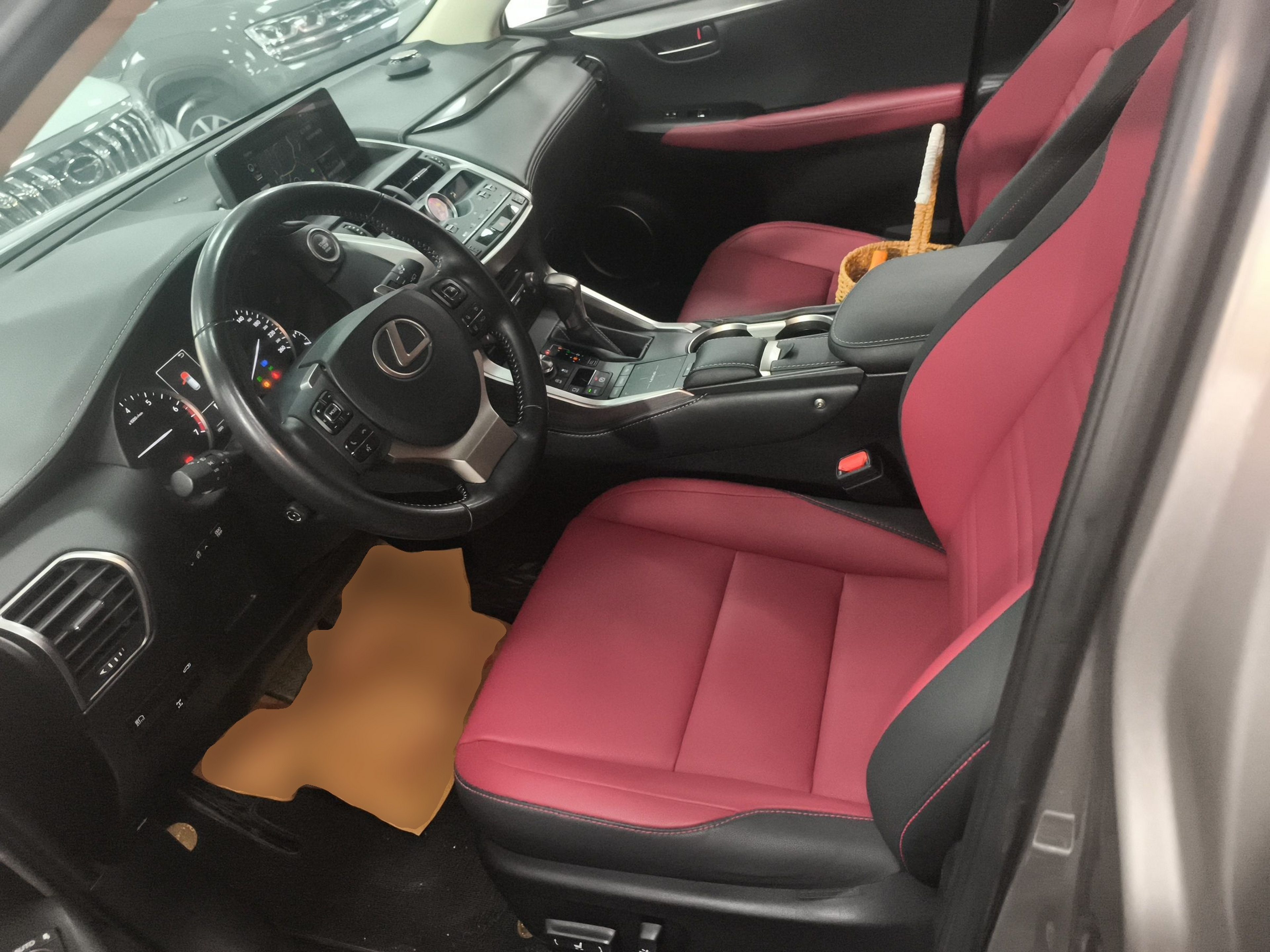 Interior delantero