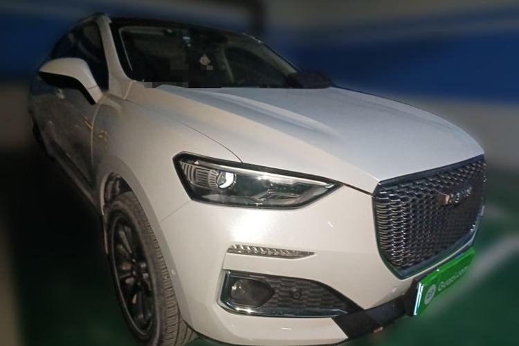 Used Haval F5 2019 National Trend Edition 1.5T i-Van China V Standard