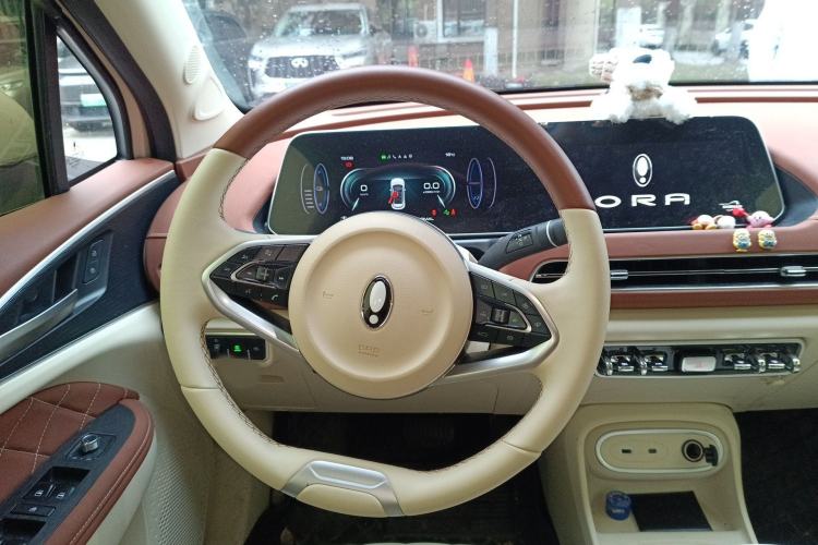 Used ORA Good Cat 2024 401 km Luxury Version Steering Wheel