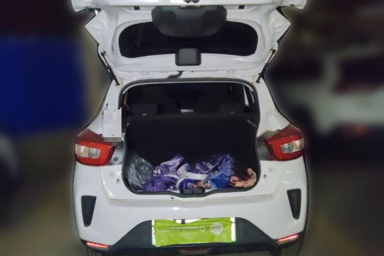 Used Dongfeng NAMMI EX1 2023 PRO Light Wind Edition Lightning Model