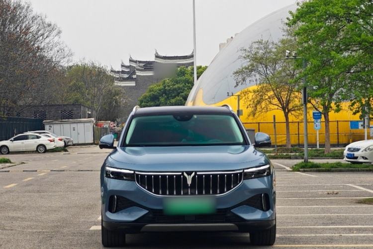 Used VOYAH FREE 2021 Four-Wheel Drive Standard Range-Extended Exclusive Luxury Package
