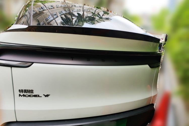 Used Tesla Model Y L  Rear