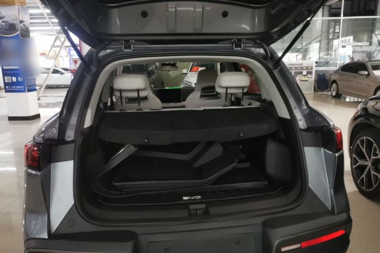 Used BYD Yuan UP 2024 401KM Leading Edition