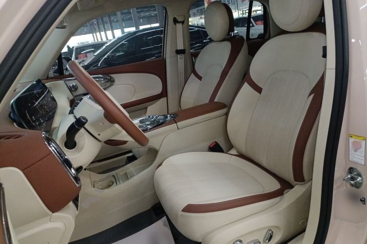 Used ORA Ballet Cat 2022 401 km Nutcracker Edition