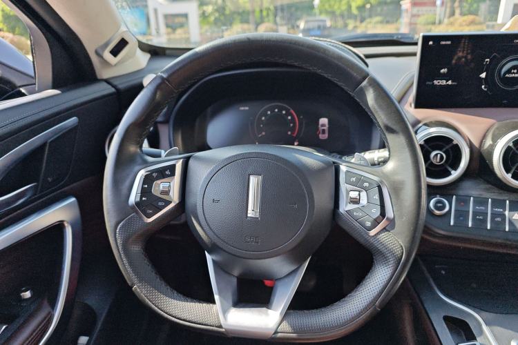 Used Wey VV7 2020 2.0T Flagship Edition
