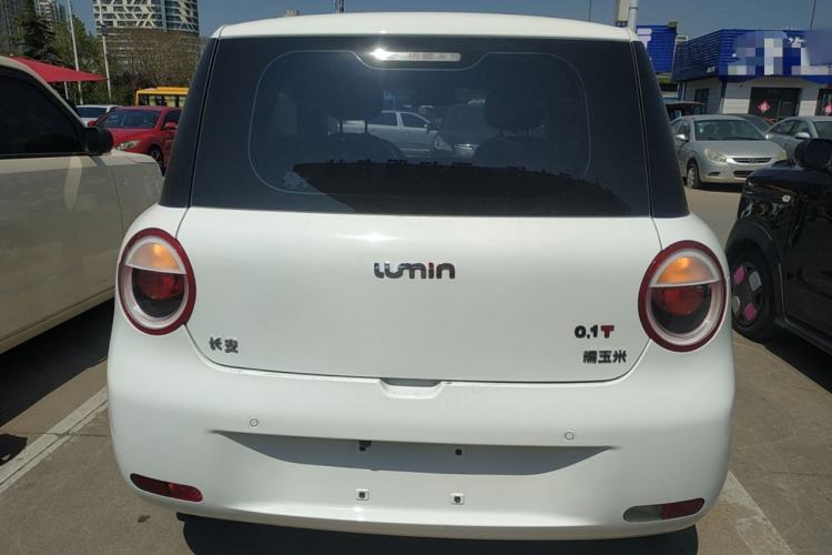 Used CHANGAN NEVO Lumin 2023 205km Xiangqin Version Rear