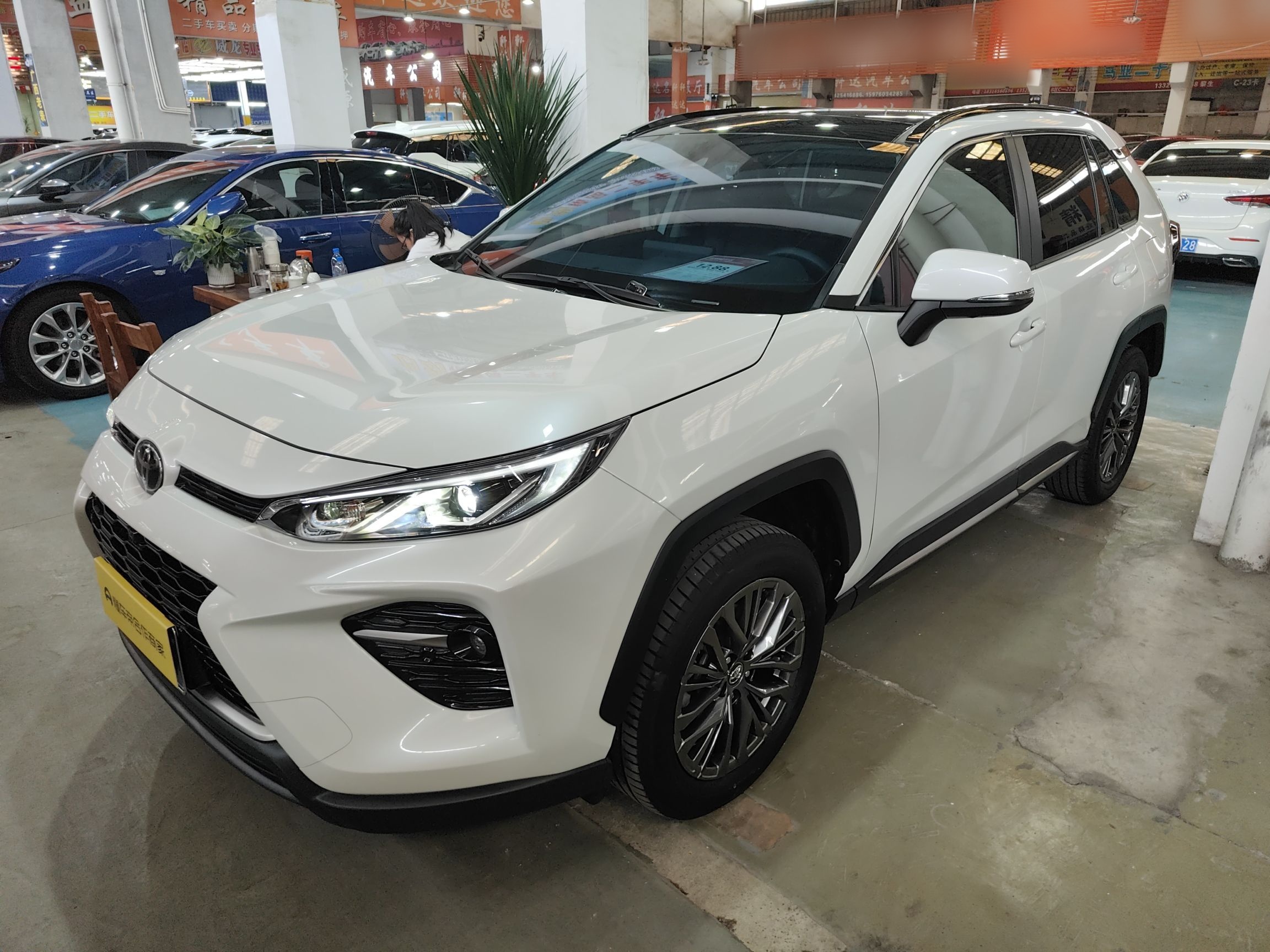 Parte inferior delantera