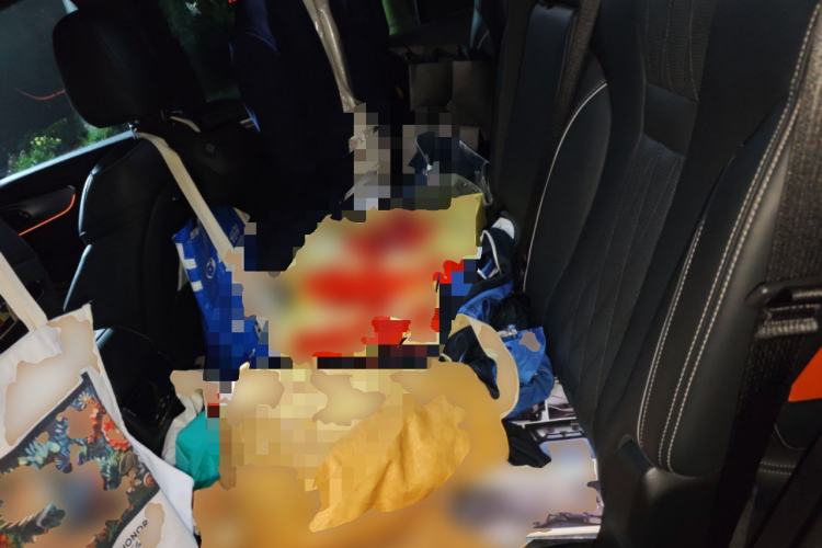 Used GAC Trumpchi GS8 2022 Double-Energy Series 2.0TM Four-Wheel Drive Premium Edition (7 Seats)