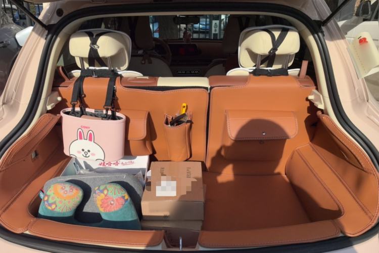 Used ORA Good Cat 2024 401 km Luxury Version