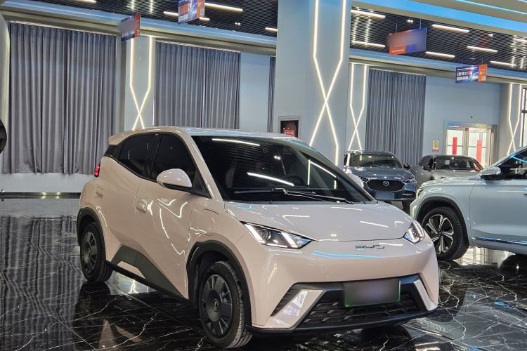 Used BYD Seagull 2023 Active Version
