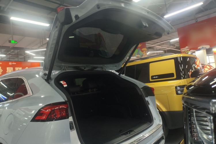 Used Wey Mocha 2021 2.0T Four-Wheel Drive Premium Edition