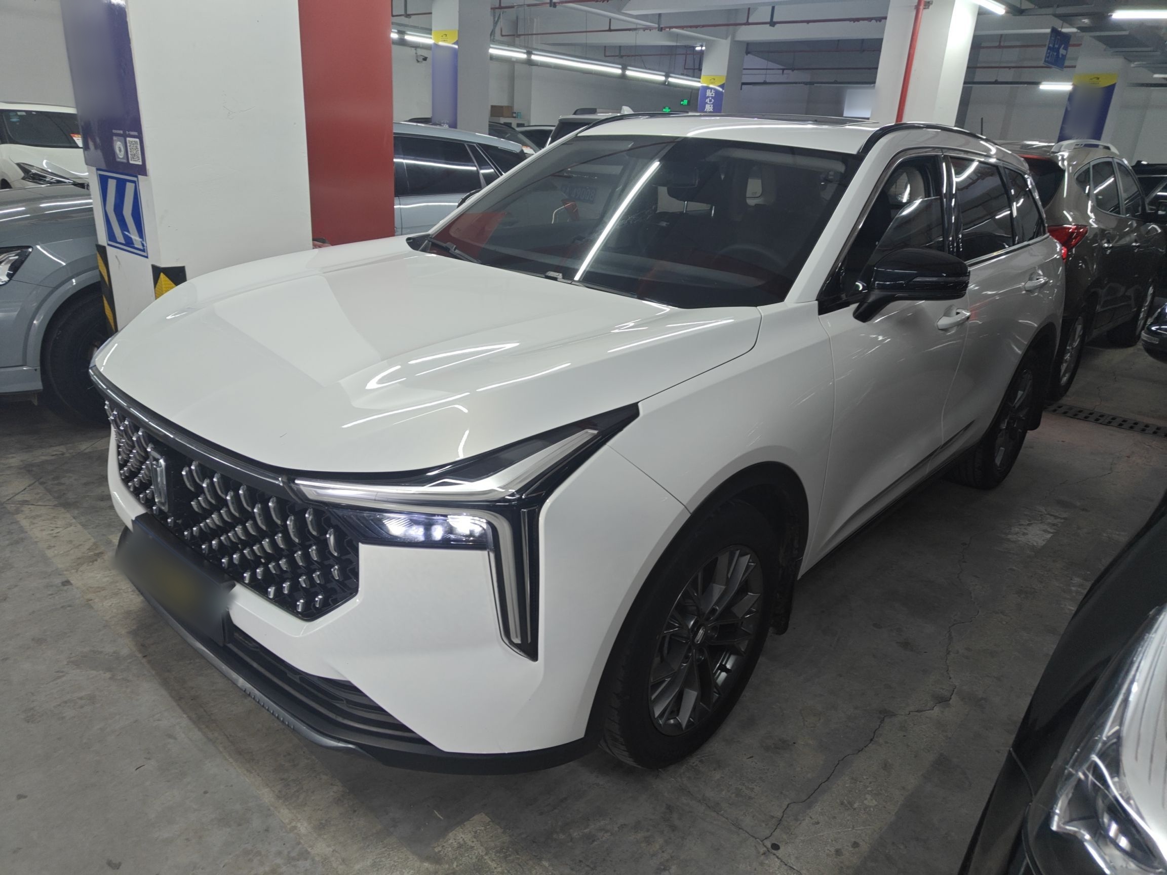 Parte inferior delantera