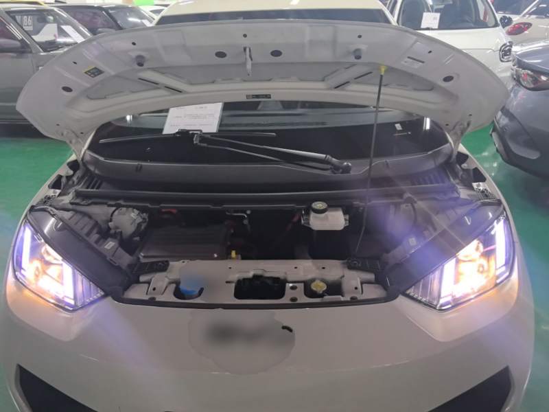 Used BYD Seagull 2025 Intelligent Driving Version 305 km Dynamic Edition — 19