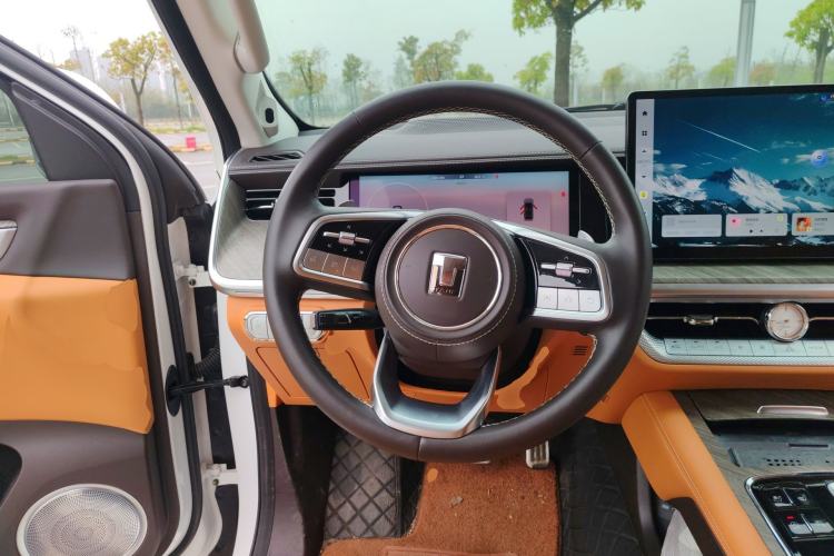 Used Tank 500 2022 3.0T Sport Edition "Creation" Version 5-Seater
