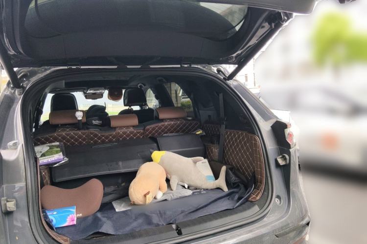 Used BYD Tang New Energy 2021 DM-i 112KM Prestige Model