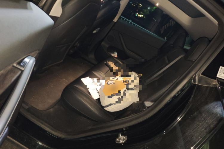 Used Tesla Model Y 2021 Long-Range All-Wheel-Drive Version Left Rear Seat