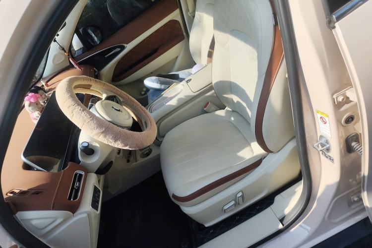 Used ORA Good Cat 2023 401 km Standard Range Luxury Version Lithium Iron Phosphate