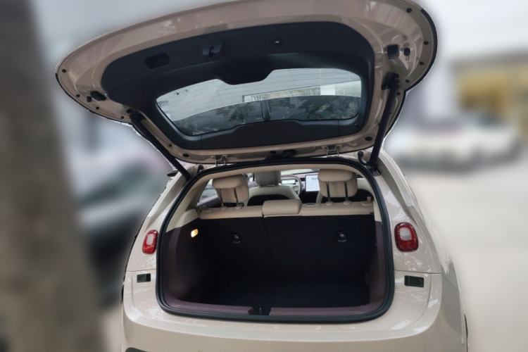 Used firefly 2025 Illuminated Edition
