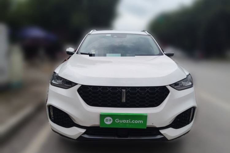 Used Wey VV6 2018 2.0T Two-Wheel-Drive Ultra-Luxury Version China V Standard
