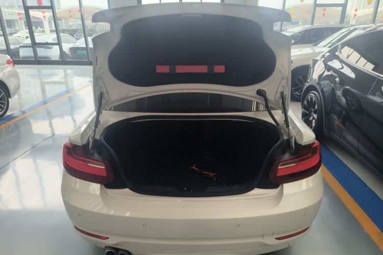 Used BMW 2 Series 2017 220i Leading Model