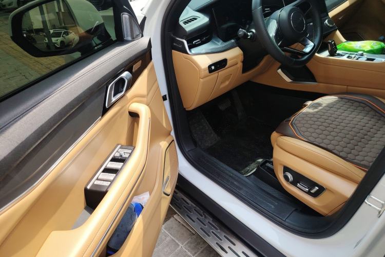 Used Lynk & Co 09 EM-P 2023 2.0TD EM-P Four-Wheel Drive Asian Games Executive Edition Five Seats
