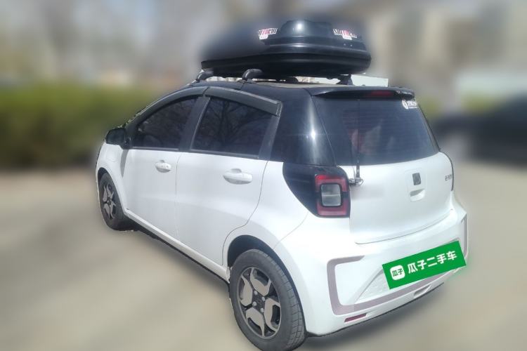 Used SOL E10X 2022 Flower Fairy Style Baby's Breath
