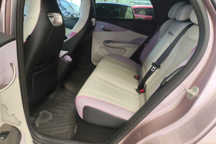 Used BYD Dolphin 2024 Honor Edition 420km Fashion Version Left Rear Seat