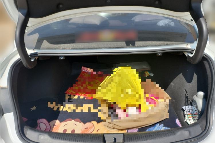 Used Buick Regal 2019 20T Elite Version China VI Standard