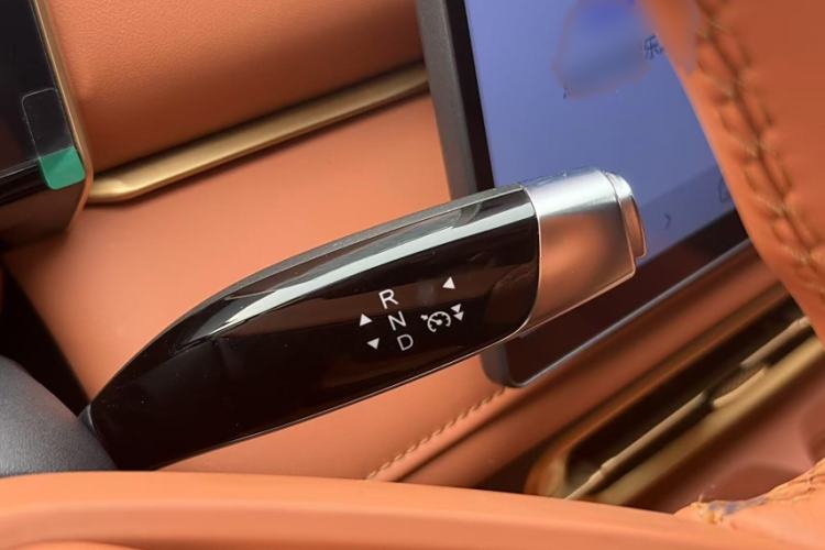 Used NETA X 2024 500 First Edition
