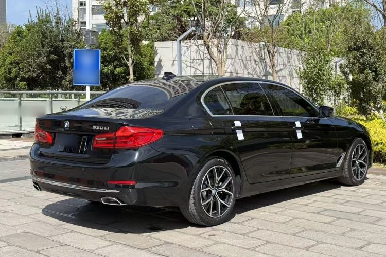 Used BMW 5 Series 2019 530Li Leading Model Luxury Package Exterior 6