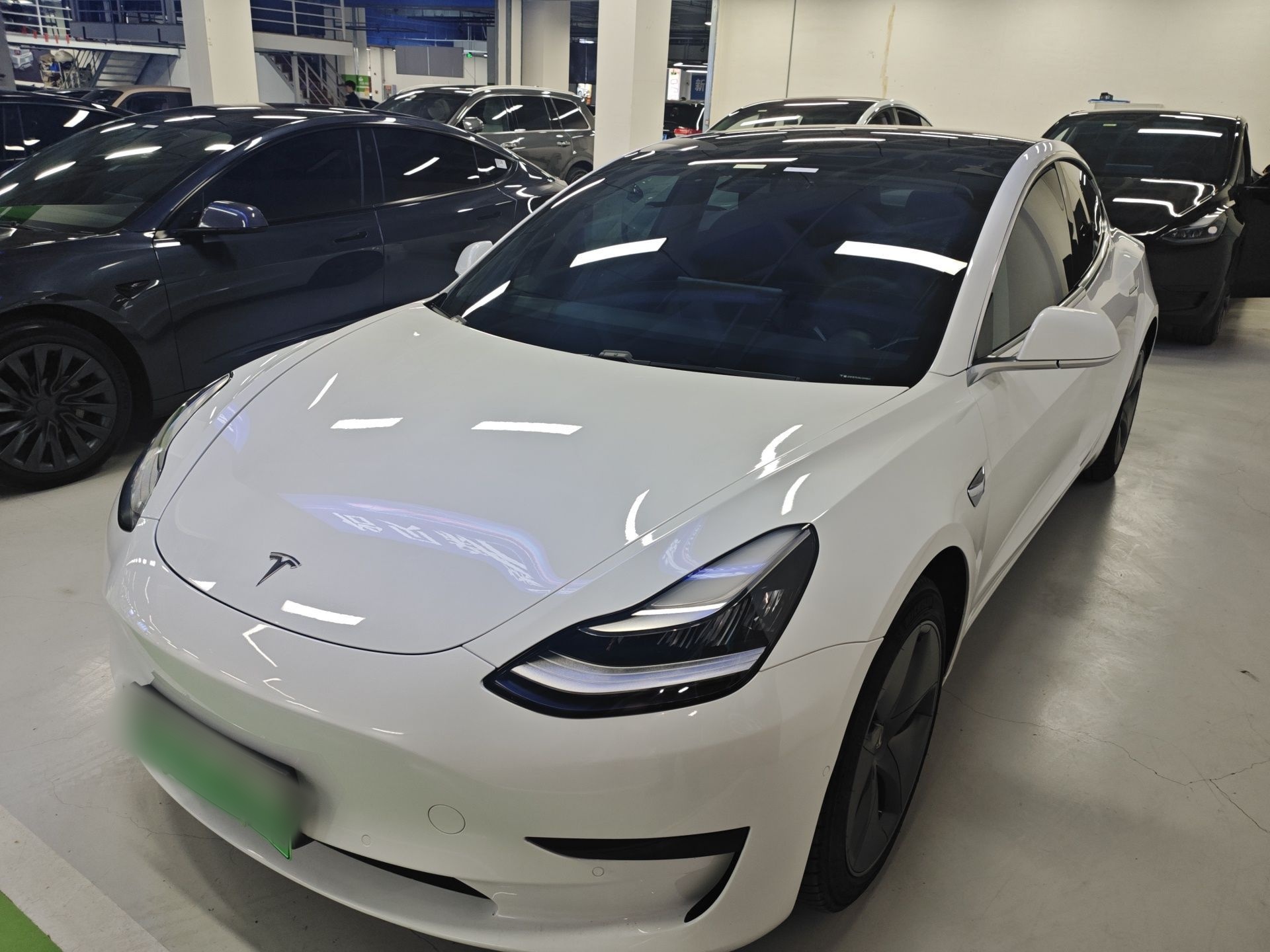 Parte inferior delantera