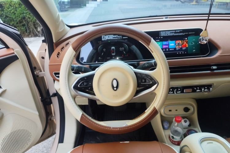 Used ORA Good Cat 2024 401 km Luxury Version