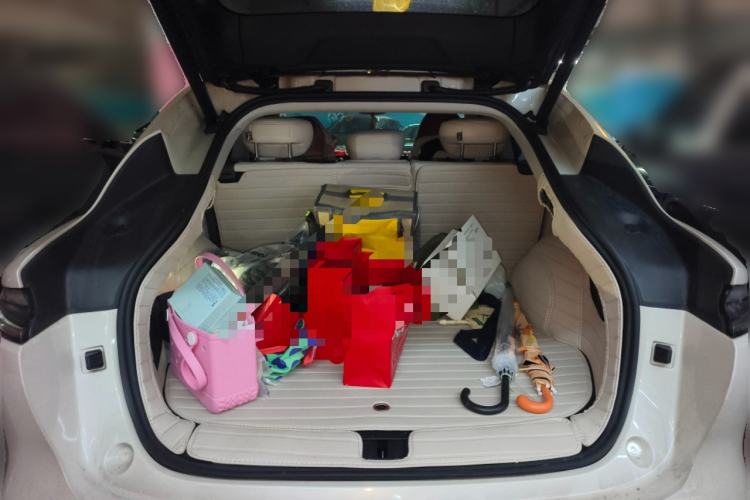 Used IM LS6 2023 Max Standard Edition