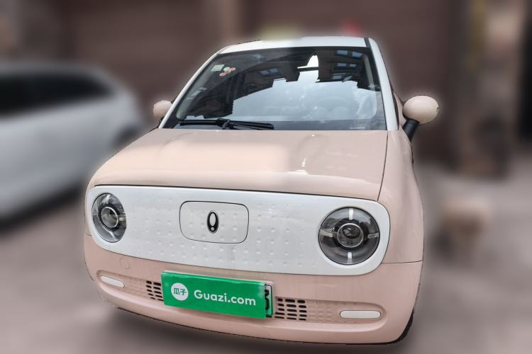 Used ORA Black Cat 2022 Updated Version 301 km Cute Pet Edition Lithium Iron Phosphate Front