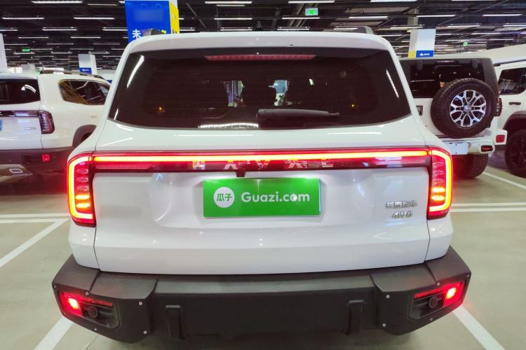 Used Haval DARGO 2024 2.0T DCT Chinese Rural Dog Edition
