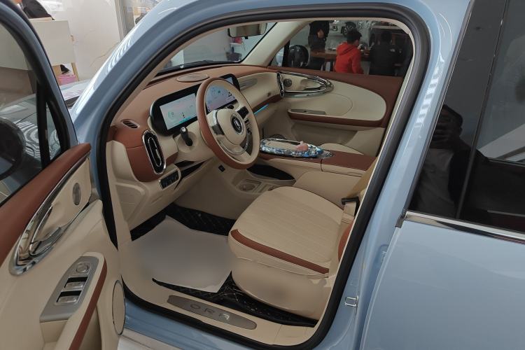 Used ORA Ballet Cat 2023 401 km Luxury Version
