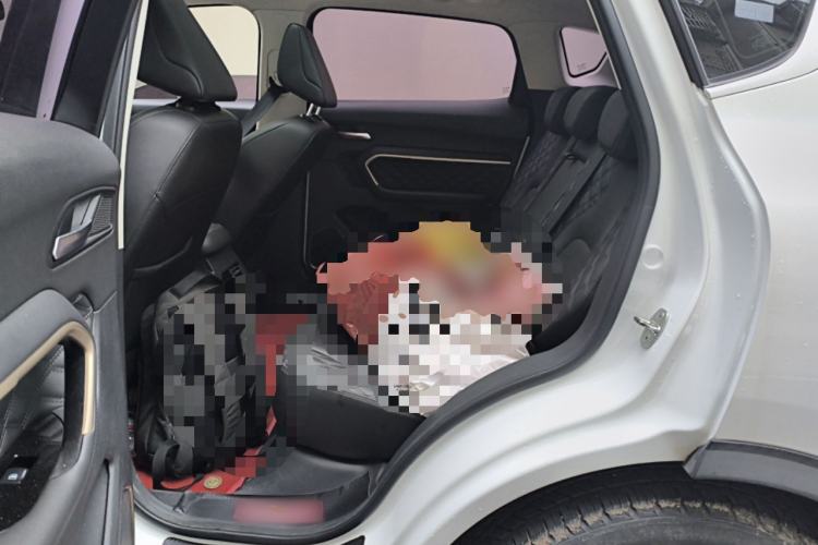 Used Haval H6 2020 1.5 GDIT Automatic Platinum Champion Edition Left Rear Seat