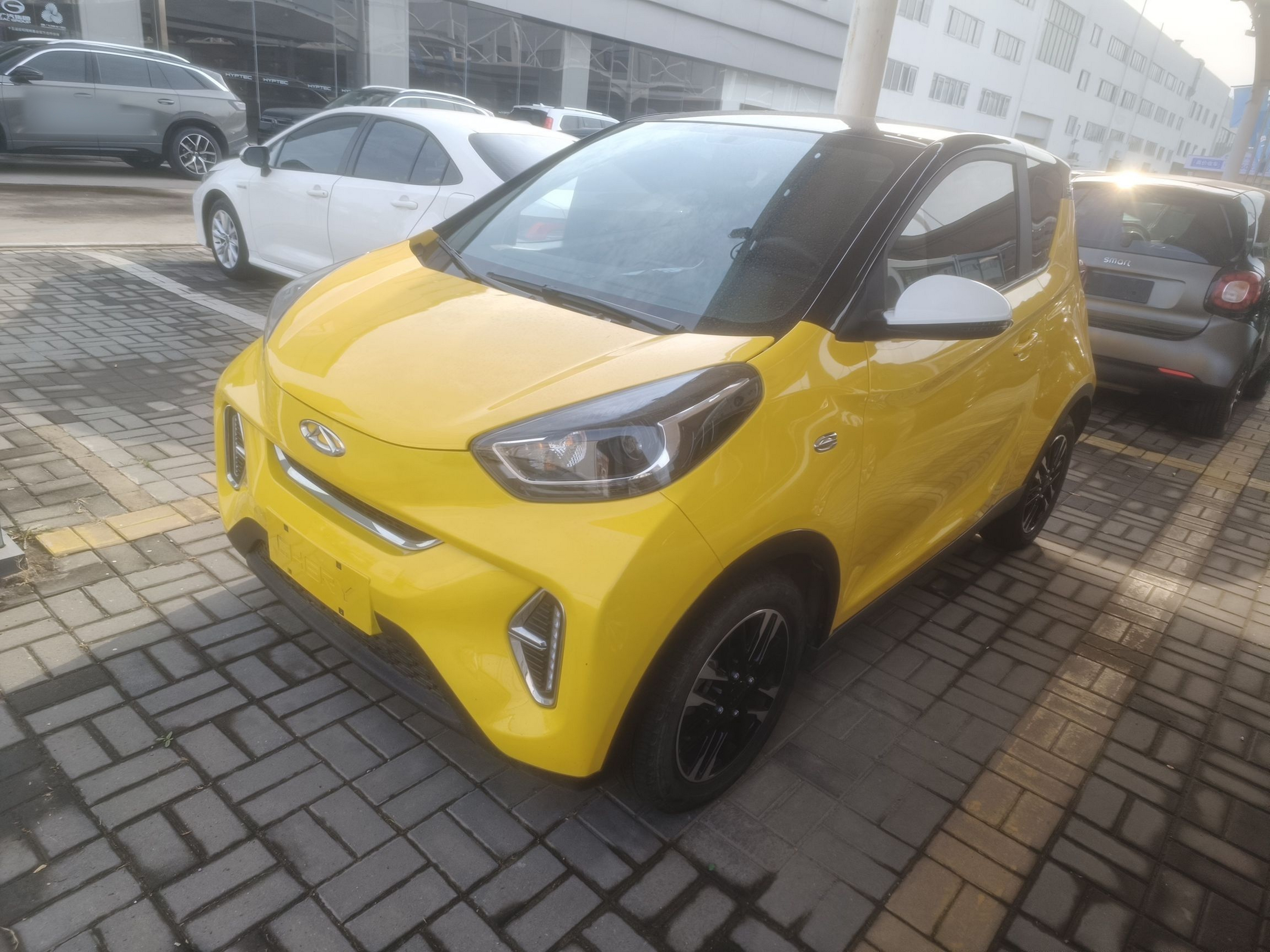 Parte inferior delantera