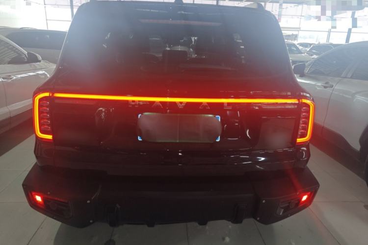 Used Haval DARGO 2024 2.0T DCT Chinese Rural Dog Edition Rear