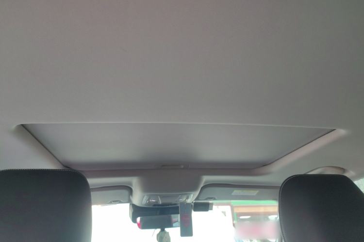 Used Tank 300 2021 2.0T Wind & Forest Iron Rider Headliner