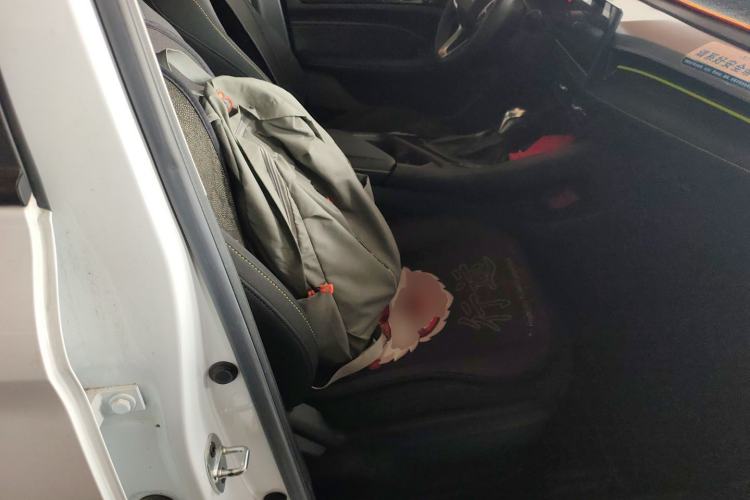 Used Roewe i5 2021 1.5L CVT Platinum Edition Right Front Seat