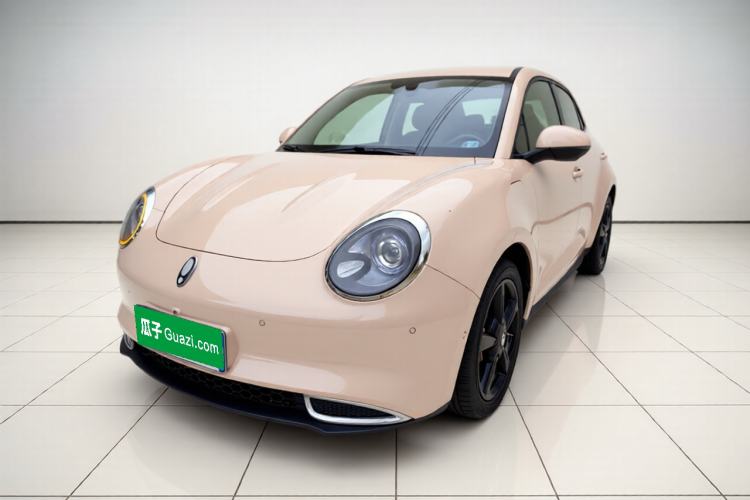Used ORA Good Cat 2024 401 km Range Luxury Version 135 kW
