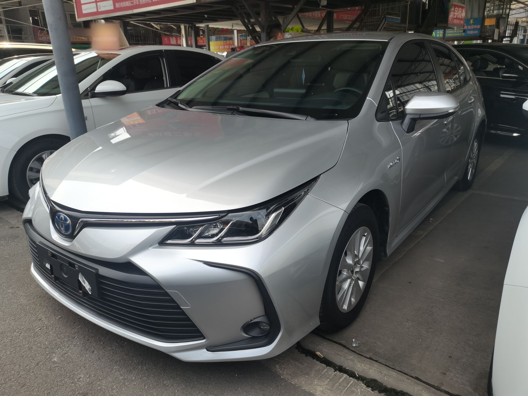 Parte inferior delantera