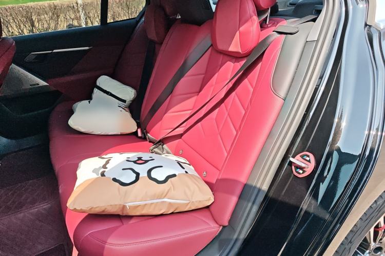 Used BMW 5 Series 2026 530Li Leading M Sport Package Left Rear Seat