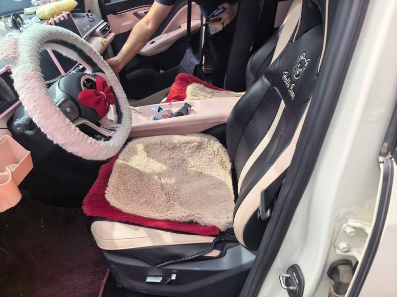 Used BYD Seagull 2025 305 km Free Version — 12